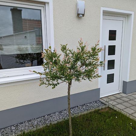 Ferienhaus Zum Kuckuck, Wng 2, Urlaub Im Eichsfeld Kallmerode 外观 照片