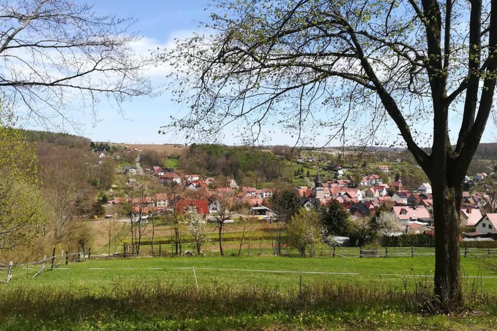 Ferienhaus Zum Kuckuck, Wng 2, Urlaub Im Eichsfeld Kallmerode 外观 照片