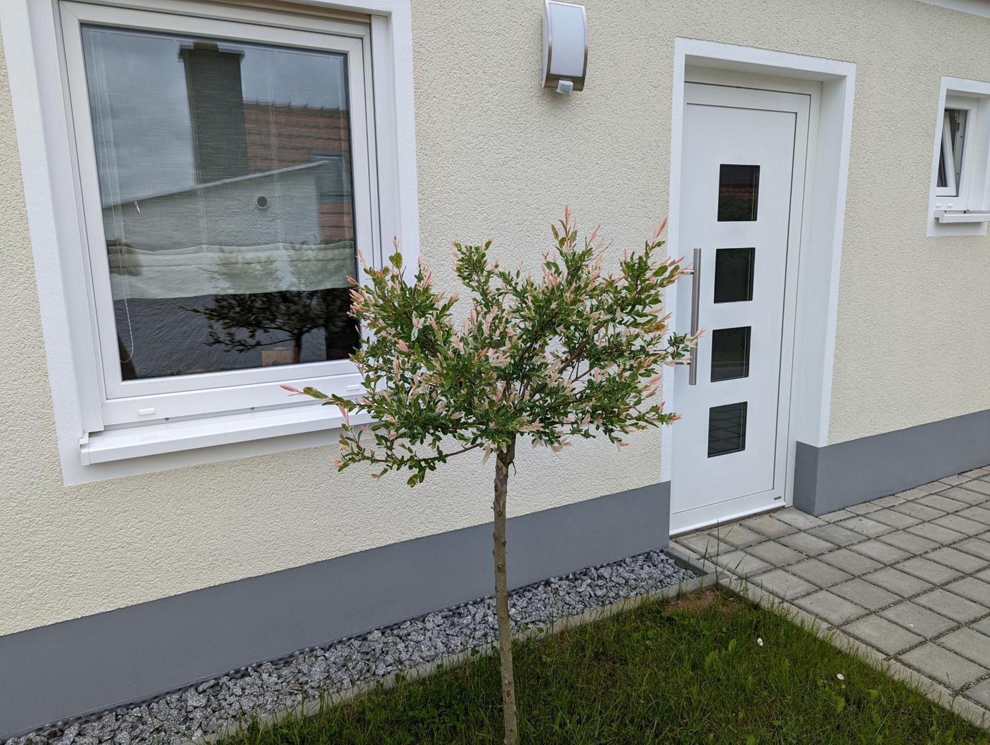 Ferienhaus Zum Kuckuck, Wng 2, Urlaub Im Eichsfeld Kallmerode 外观 照片