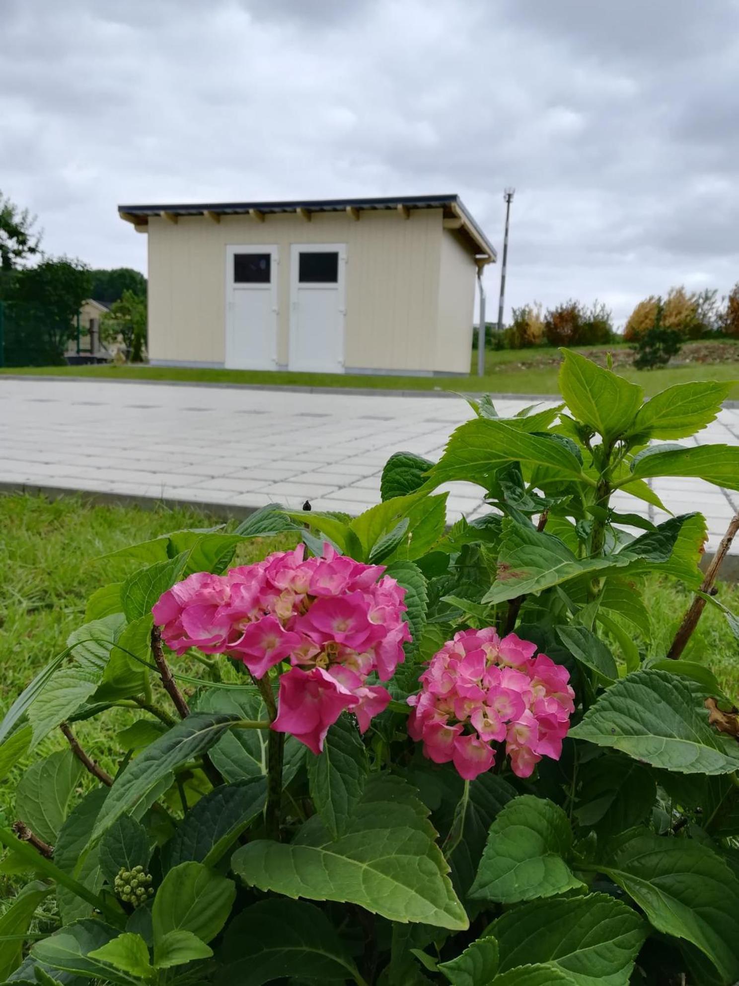 Ferienhaus Zum Kuckuck, Wng 2, Urlaub Im Eichsfeld Kallmerode 外观 照片